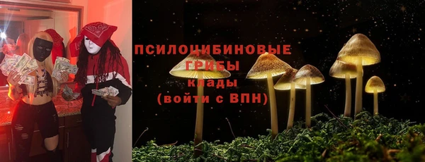 гидра Балабаново