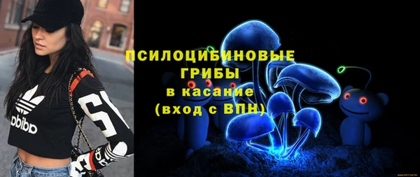 apvp Балахна