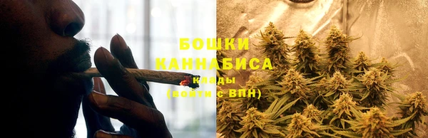 гидра Балабаново