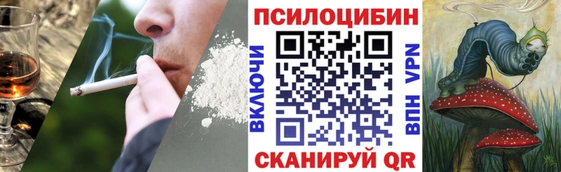 купить наркотик  Южно-Сухокумск  гидра маркетплейс  Галлюциногенные грибы MAGIC MUSHROOMS 